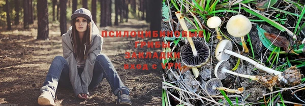 ALPHA-PVP Верея