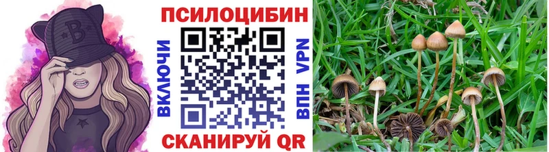 Галлюциногенные грибы GOLDEN TEACHER  МЕГА ссылка  Якутск 